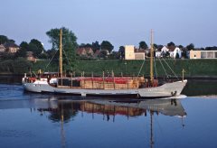 Thumbnail Image for Adolph Flint