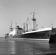 Thumbnail Image for Transcanada