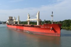 Thumbnail Image for Federal New York