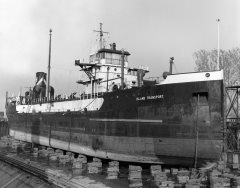 Thumbnail Image for Island Transport