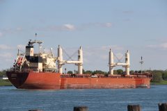 Thumbnail Image for Federal Barents