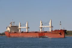 Thumbnail Image for Federal Barents