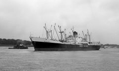 Thumbnail Image for Broompark