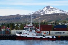 Thumbnail Image for Seifur