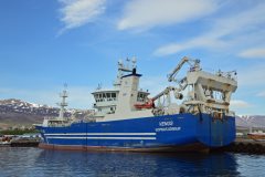 Thumbnail Image for Venus