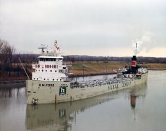 Thumbnail Image for E.M. Ford