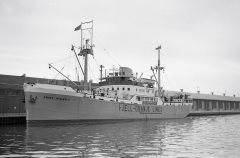 Thumbnail Image for Prins Willem II