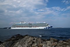 Thumbnail Image for Majestic Princess