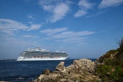 Thumbnail Image for Majestic Princess