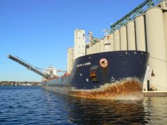 Thumbnail Image for Radcliffe R Latimer