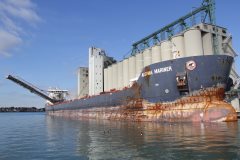 Thumbnail Image for Algoma Mariner