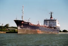 Thumbnail Image for Algoeast