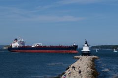 Thumbnail Image for Algoma Acadian