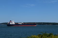 Thumbnail Image for Algoma Acadian