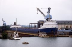 Thumbnail Image for Algogulf