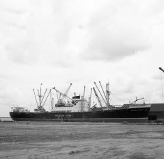 Thumbnail Image for Transamerica