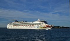 Thumbnail Image for Norwegian Gem