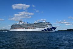 Thumbnail Image for Majestic Princess