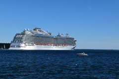 Thumbnail Image for Majestic Princess