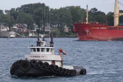 Thumbnail Image for Pride