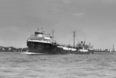 Thumbnail Image for Venus