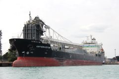 Thumbnail Image for Northern Venture