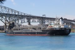 Thumbnail Image for Northern Venture