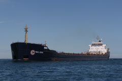 Thumbnail Image for Tim S. Dool