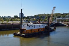 Thumbnail Image for D6