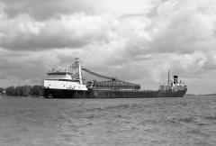 Thumbnail Image for Sharon