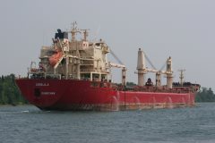 Thumbnail Image for Orsula