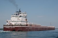 Thumbnail Image for Joseph L Block