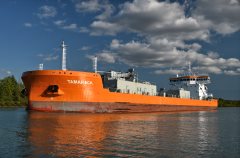 Thumbnail Image for Tamarack