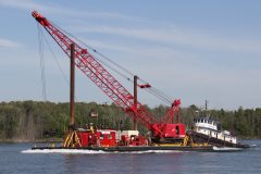 Thumbnail Image for Bulldog