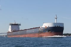 Thumbnail Image for Algoma Strongfield