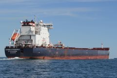 Thumbnail Image for Algoma Strongfield