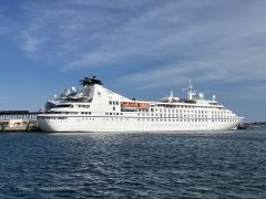 Thumbnail Image for Star Pride