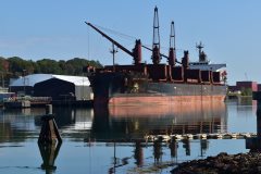 Thumbnail Image for Delta Pearl