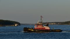 Thumbnail Image for Andrew McAllister