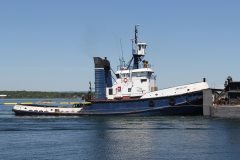 Thumbnail Image for Anglian Lady