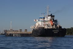 Thumbnail Image for Blair McKiel