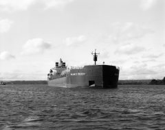 Thumbnail Image for William R. Roesch