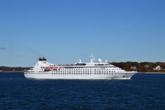 Thumbnail Image for Star Pride