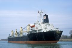 Thumbnail Image for Dorothea