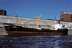 Thumbnail Image for Kanguk