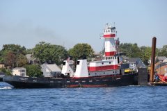 Thumbnail Image for Gregory J Busch