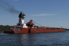 Thumbnail Image for Joyce L Van Enkevort