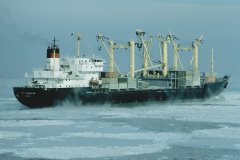 Thumbnail Image for Pyotr Aleynikov oncontextmenu=