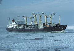 Thumbnail Image for Pyotr Aleynikov oncontextmenu=