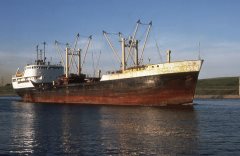 Thumbnail Image for Kingdoc